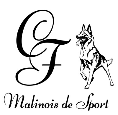 malinois-de-sport.ch